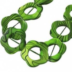 FLOR DE CONCHA VERDE